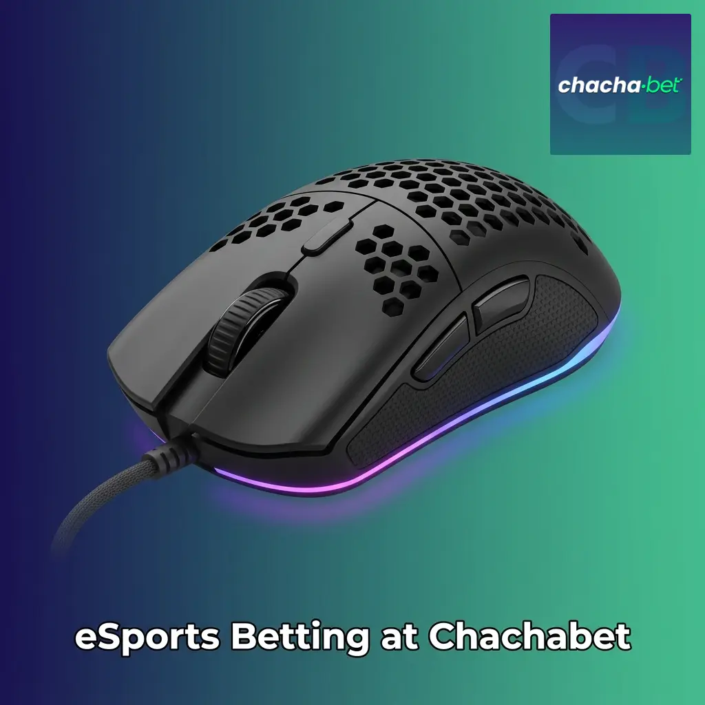 Chachabet eSports betting markets for major tournaments and live matches popular with Netherlands players